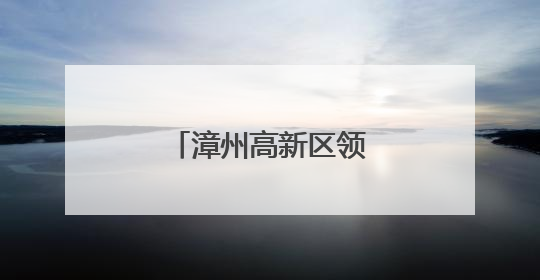 漳州高新区领导到九湖镇调研基层党建工作
