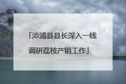 漳浦县县长深入一线调研荔枝产销工作