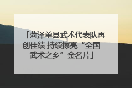 菏泽单县武术代表队再创佳绩 持续擦亮“全国武术之乡”金名片