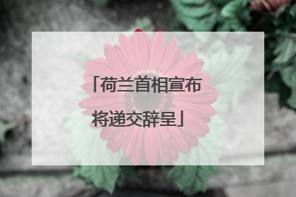 荷兰首相宣布将递交辞呈
