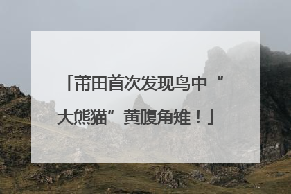 莆田首次发现鸟中“大熊猫”黄腹角雉！