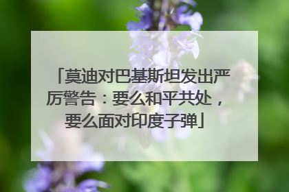 莫迪对巴基斯坦发出严厉警告：要么和平共处，要么面对印度子弹