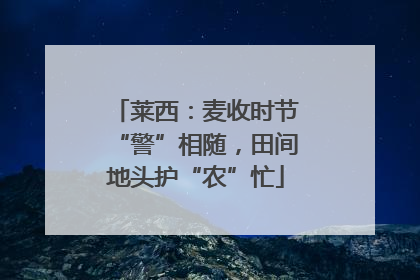 莱西：麦收时节“警”相随，田间地头护“农”忙