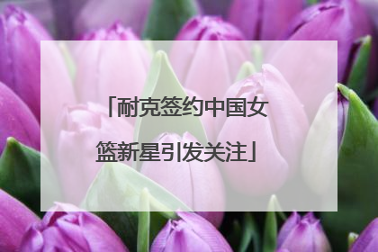 耐克签约中国女篮新星引发关注