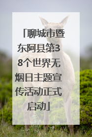 聊城市暨东阿县第38个世界无烟日主题宣传活动正式启动