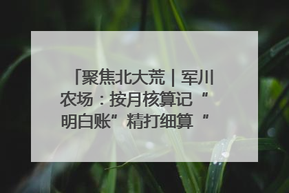 聚焦北大荒｜军川农场：按月核算记“明白账”精打细算“过紧日子”