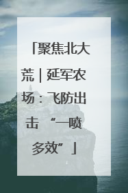 聚焦北大荒｜延军农场：飞防出击 “一喷多效”