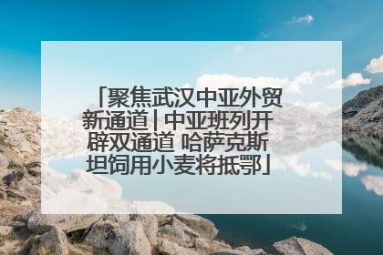 聚焦武汉中亚外贸新通道│中亚班列开辟双通道 哈萨克斯坦饲用小麦将抵鄂