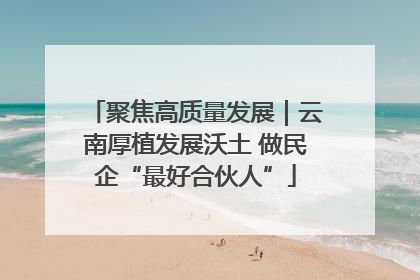 聚焦高质量发展｜云南厚植发展沃土 做民企“最好合伙人”