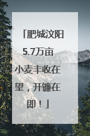 肥城汶阳5.7万亩小麦丰收在望，开镰在即！