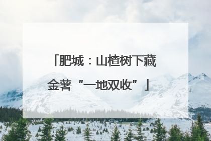 肥城：山楂树下藏金薯“一地双收”