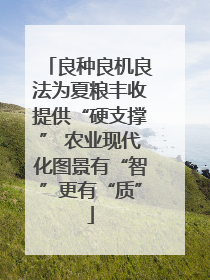 良种良机良法为夏粮丰收提供“硬支撑” 农业现代化图景有“智”更有“质”