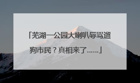 芜湖一公园大喇叭辱骂遛狗市民？真相来了……