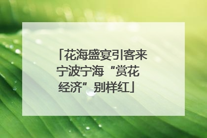 花海盛宴引客来 宁波宁海“赏花经济”别样红