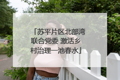 苏平片区北部湾联合党委 激活乡村治理一池春水