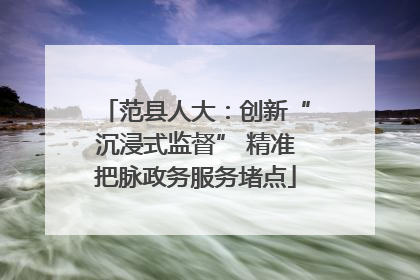 范县人大：创新“沉浸式监督” 精准把脉政务服务堵点