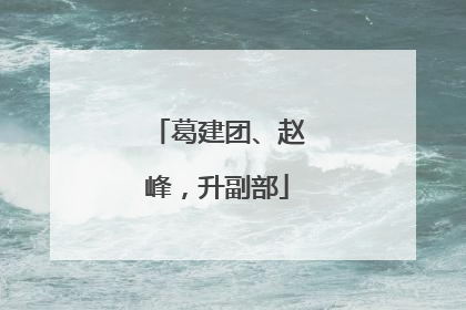 葛建团、赵峰，升副部