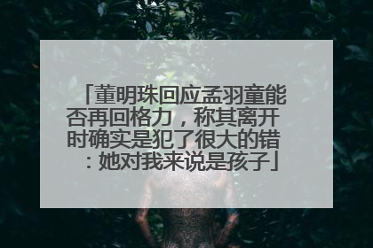 董明珠回应孟羽童能否再回格力，称其离开时确实是犯了很大的错：她对我来说是孩子