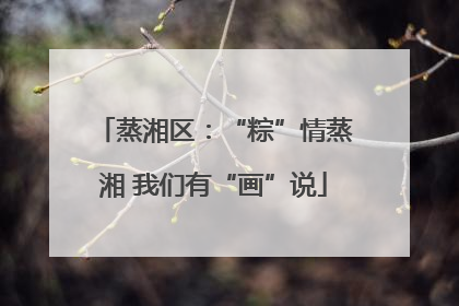 蒸湘区：“粽”情蒸湘 我们有“画”说