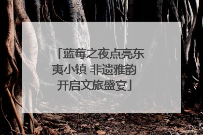 蓝莓之夜点亮东夷小镇 非遗雅韵开启文旅盛宴