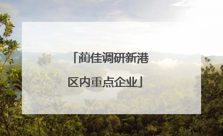 蔺佳调研新港区内重点企业