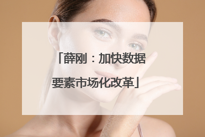 薛刚：加快数据要素市场化改革