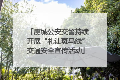 虞城公安交警持续开展“礼让斑马线”交通安全宣传活动