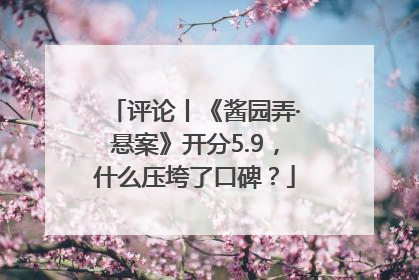 评论丨《酱园弄·悬案》开分5.9，什么压垮了口碑？