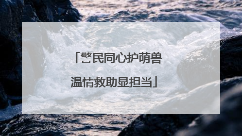 警民同心护萌兽 温情救助显担当