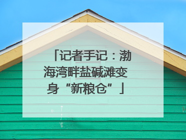 记者手记：渤海湾畔盐碱滩变身“新粮仓”