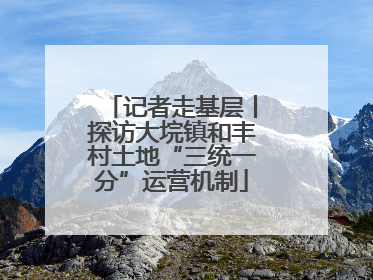 记者走基层丨探访大垸镇和丰村土地“三统一分”运营机制
