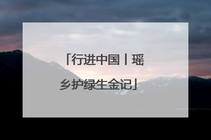 行进中国丨瑶乡护绿生金记