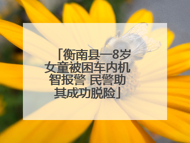 衡南县一8岁女童被困车内机智报警 民警助其成功脱险
