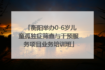 衡阳举办0-6岁儿童孤独症筛查与干预服务项目业务培训班