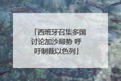 西班牙召集多国讨论加沙局势 呼吁制裁以色列