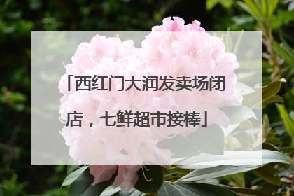 西红门大润发卖场闭店，七鲜超市接棒