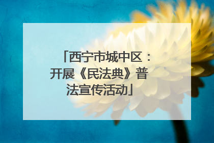 西宁市城中区：开展《民法典》普法宣传活动