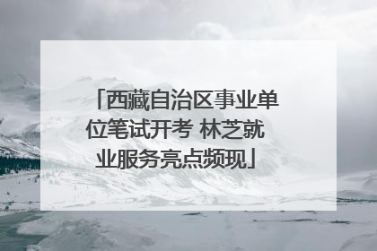 西藏自治区事业单位笔试开考 林芝就业服务亮点频现