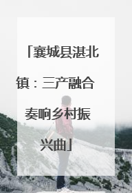襄城县湛北镇：三产融合 奏响乡村振兴曲