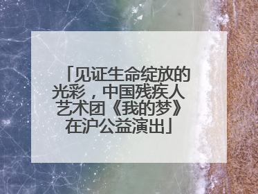 见证生命绽放的光彩，中国残疾人艺术团《我的梦》在沪公益演出