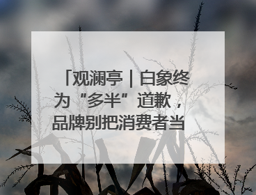 观澜亭｜白象终为“多半”道歉，品牌别把消费者当“小白”