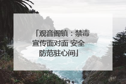 观音阁镇：禁毒宣传面对面 安全防范驻心间