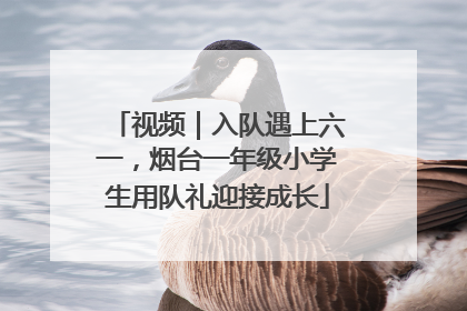 视频｜入队遇上六一，烟台一年级小学生用队礼迎接成长