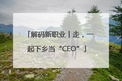 解码新职业丨走，一起下乡当“CEO”