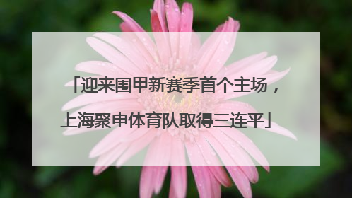 迎来围甲新赛季首个主场，上海聚申体育队取得三连平