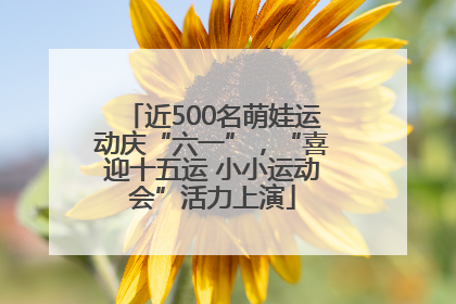 近500名萌娃运动庆“六一”，“喜迎十五运 小小运动会”活力上演