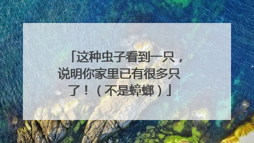 这种虫子看到一只，说明你家里已有很多只了！（不是蟑螂）