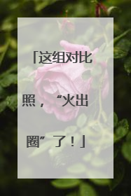 这组对比照，“火出圈”了！