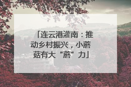 连云港灌南：推动乡村振兴，小蘑菇有大“蘑”力