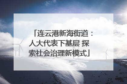连云港新海街道：人大代表下基层 探索社会治理新模式